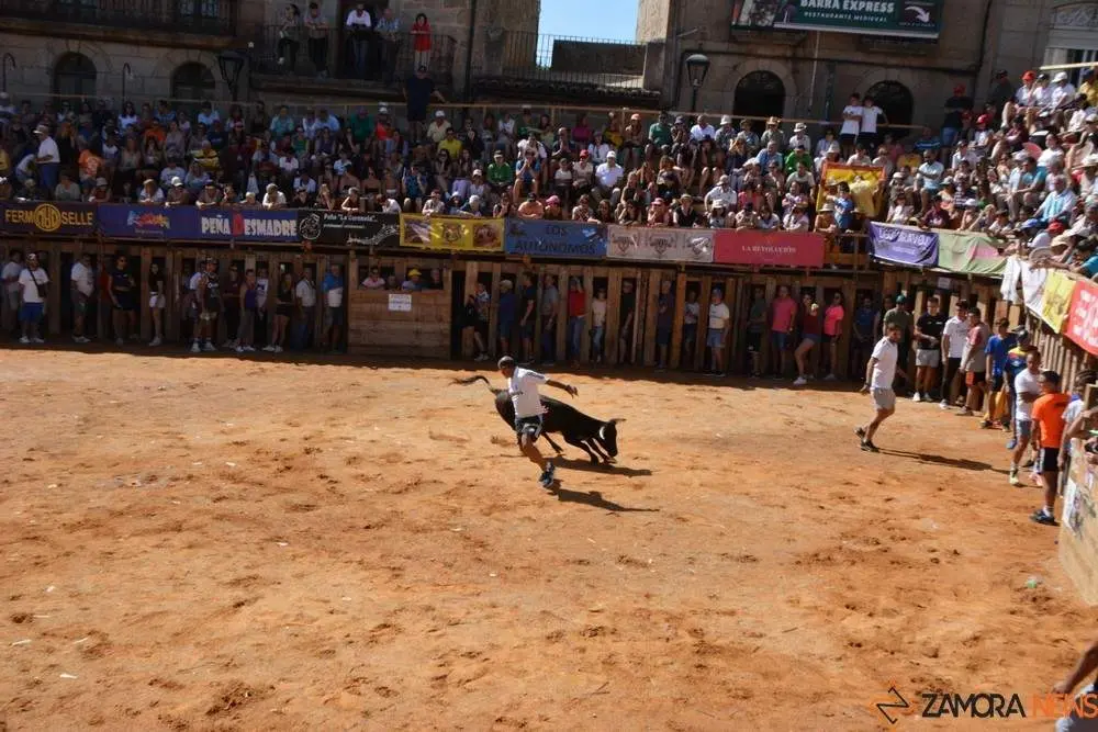 encierro s&aacute;bado fermoselle _153