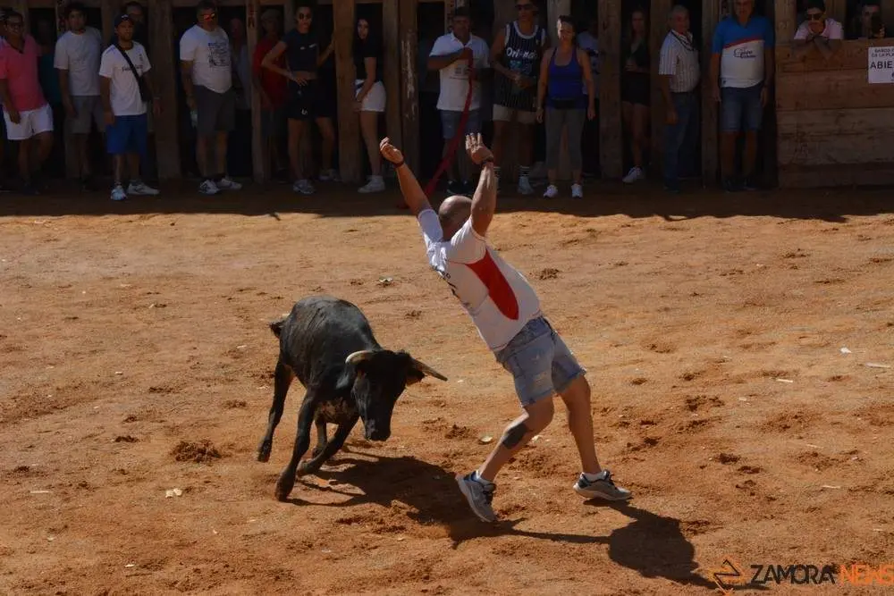 encierro s&aacute;bado fermoselle _157
