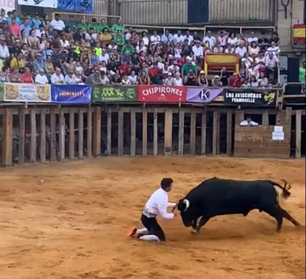 cortadores fermoselle
