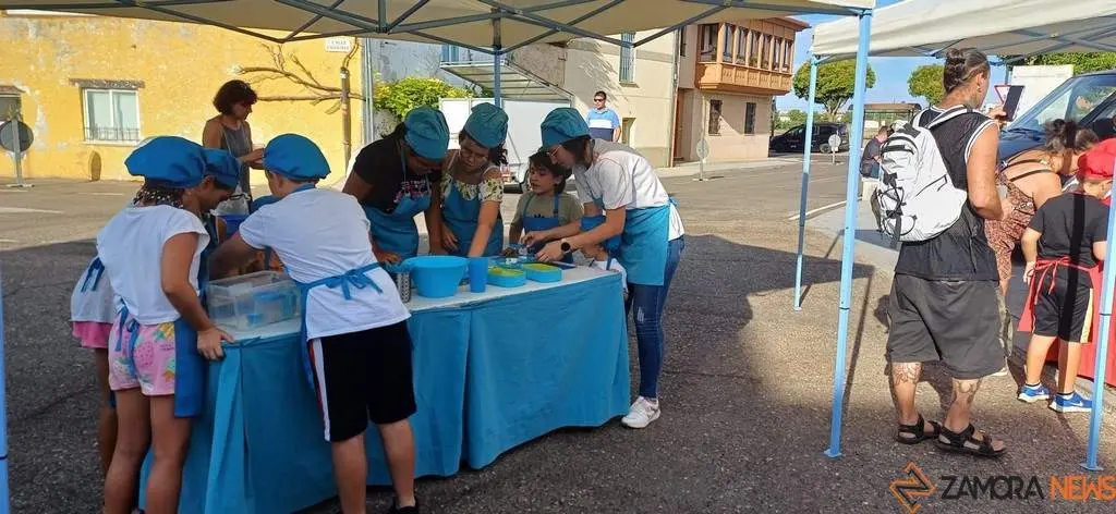 Mini Chef San Frontis_6