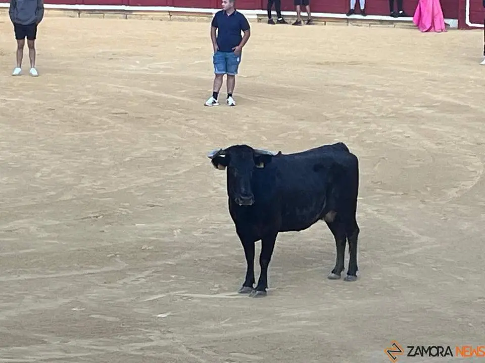 encierro urbano
