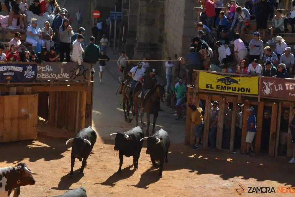 a caballo encierro fermoselle 2024_63