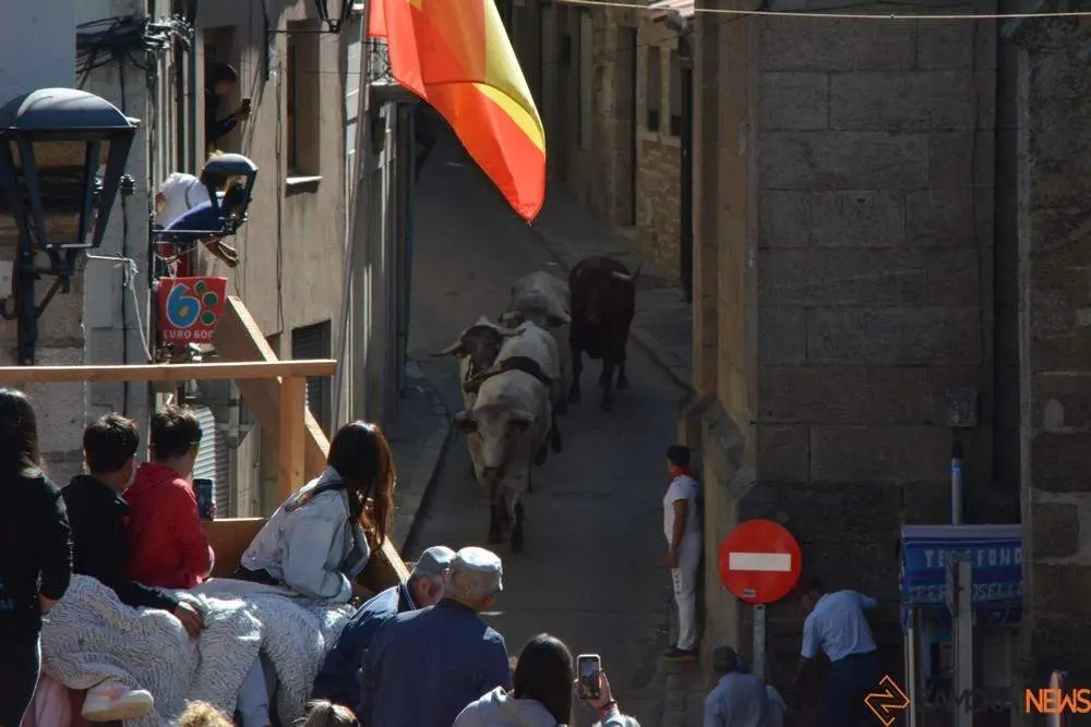 a caballo encierro fermoselle 2024_45
