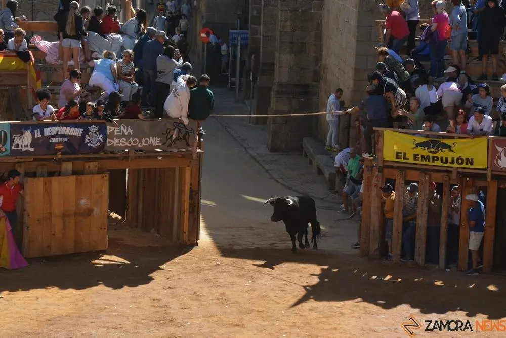 a caballo encierro fermoselle 2024_57