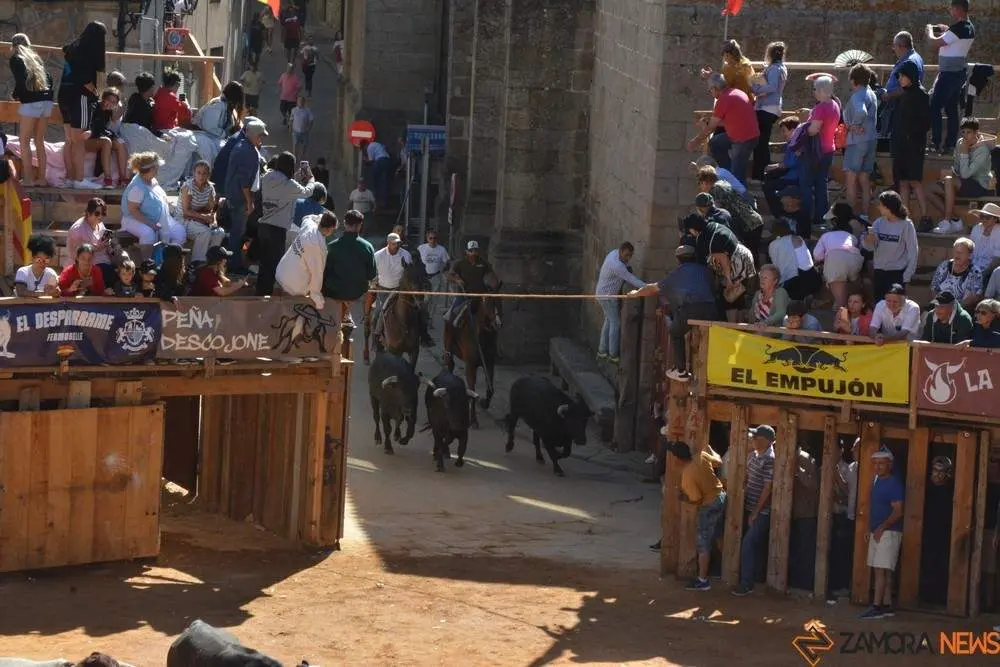 a caballo encierro fermoselle 2024_60