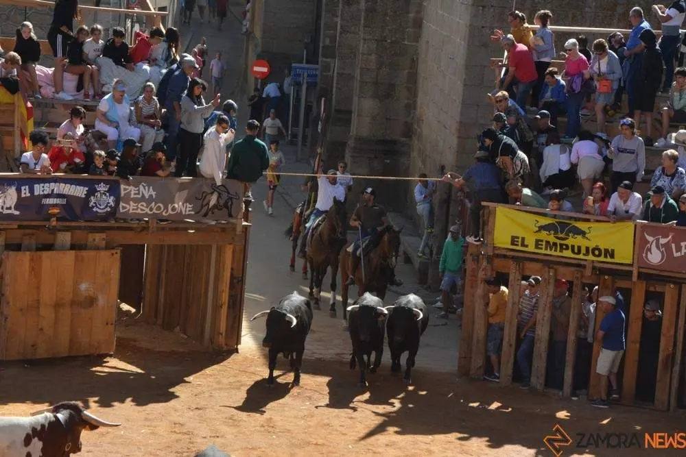 a caballo encierro fermoselle 2024_61