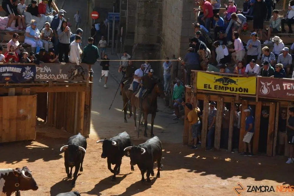 a caballo encierro fermoselle 2024_64
