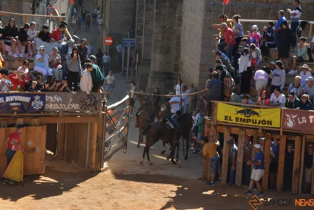 a caballo encierro fermoselle 2024_67