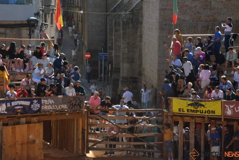 a caballo encierro fermoselle 2024_71