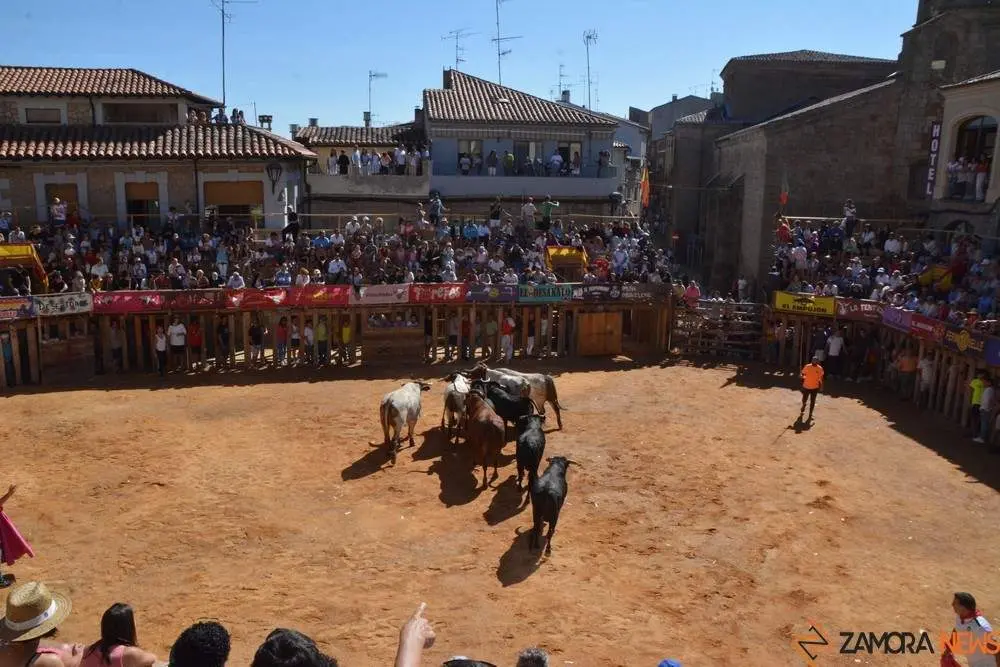 a caballo encierro fermoselle 2024_74