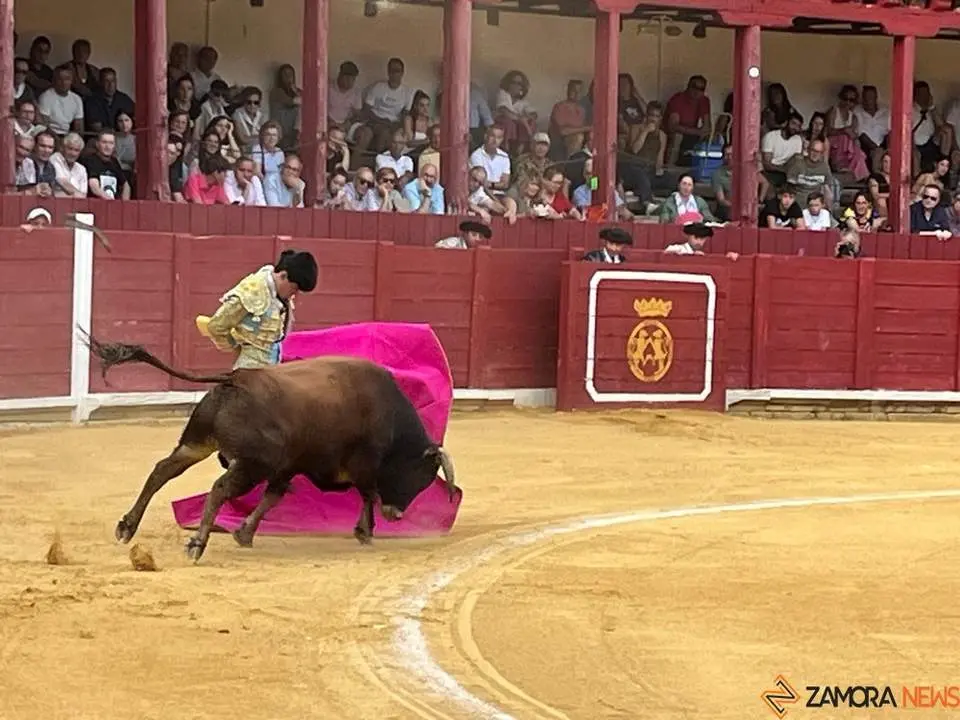 toros en toro _6