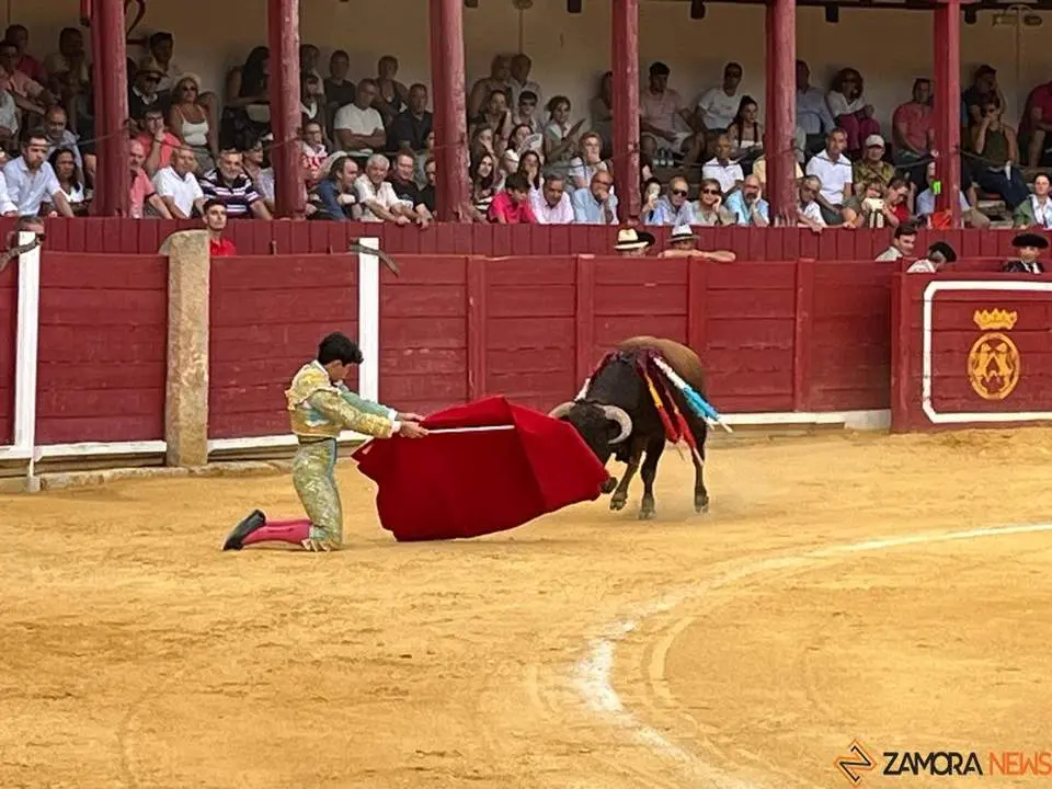 toros en toro _7