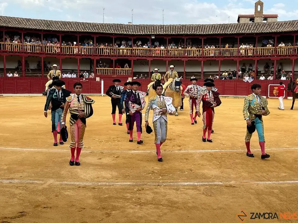 toros en toro _9