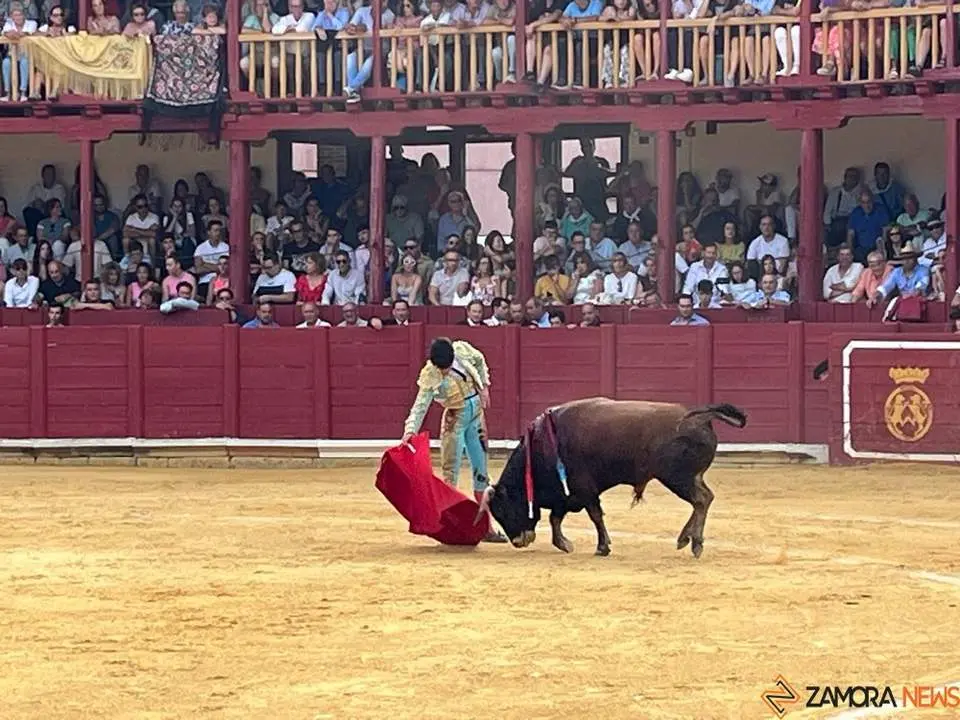 toros en toro _10