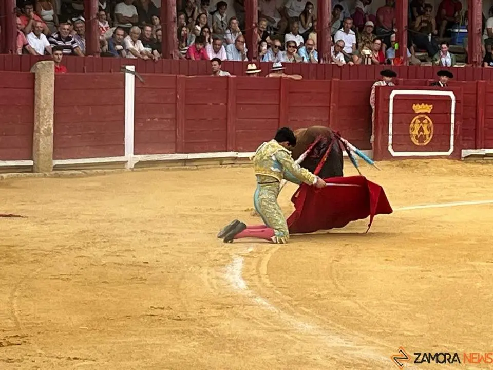 toros en toro _12