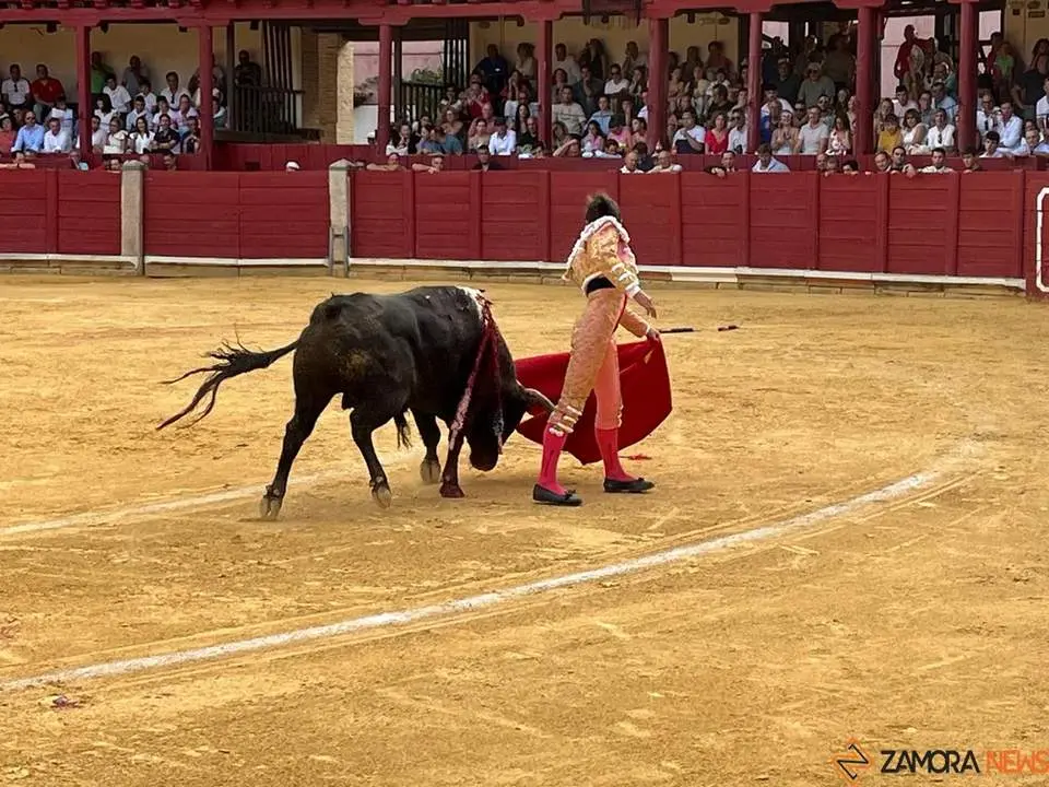 toros en toro _13