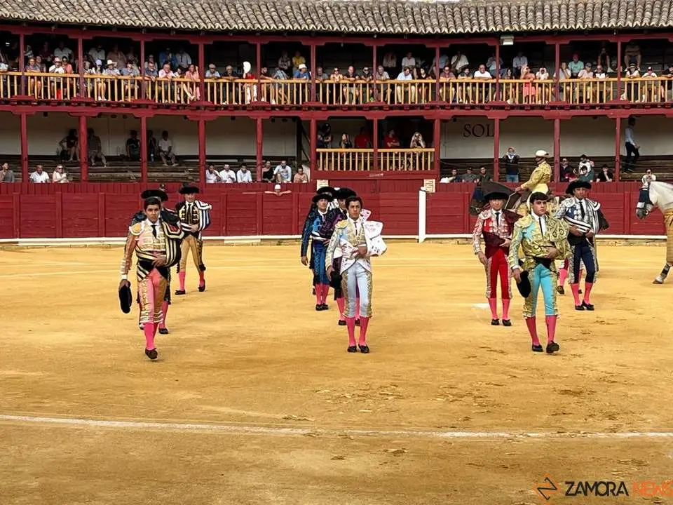toros en toro _14