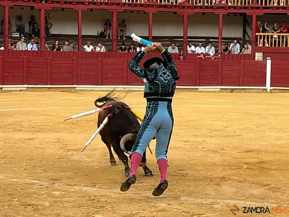 toros en toro _15
