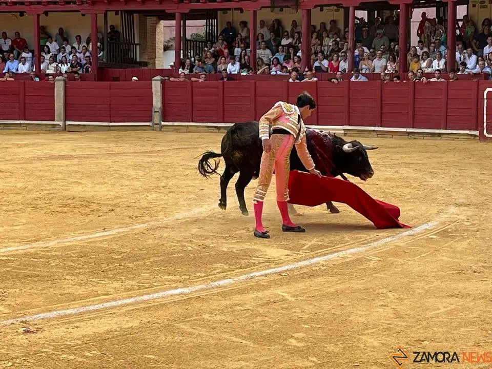 toros en toro _16