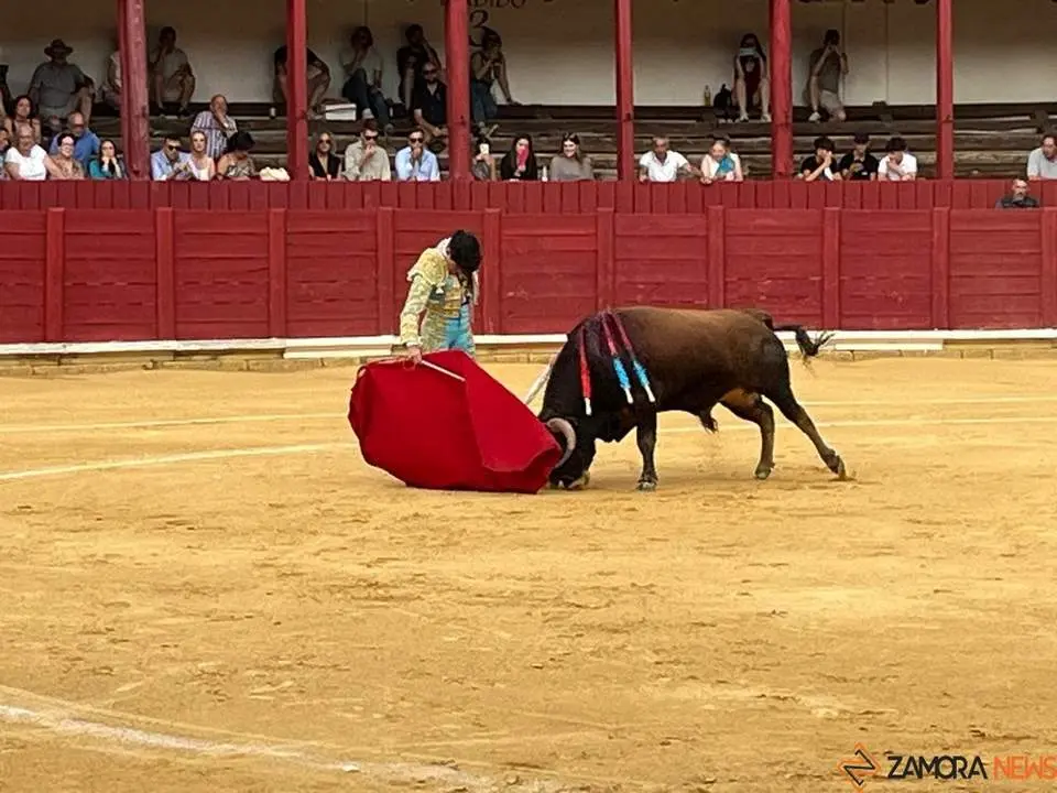 toros en toro _19