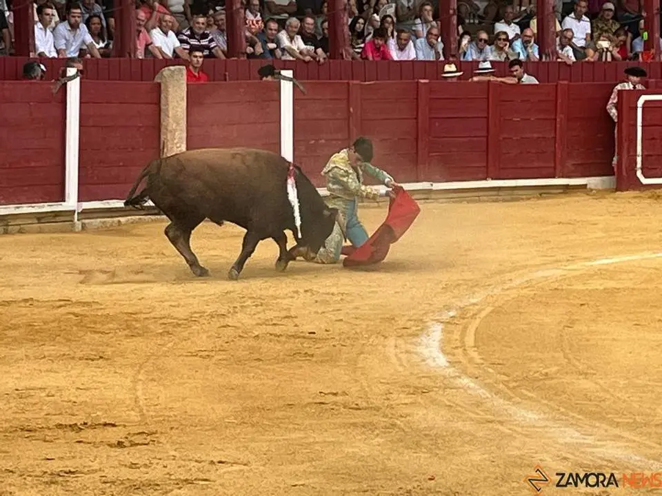 toros en toro _22