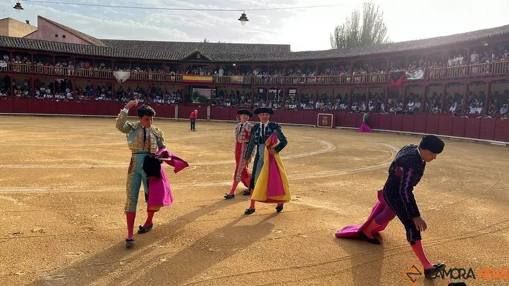 toros en toro _23