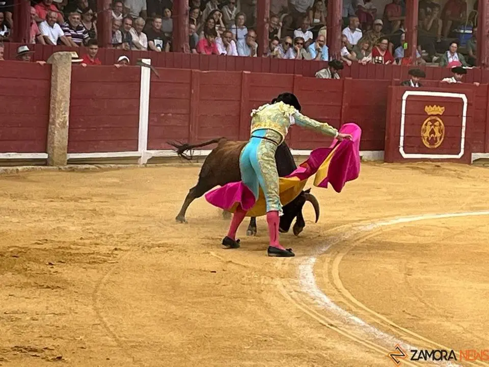toros en toro _25