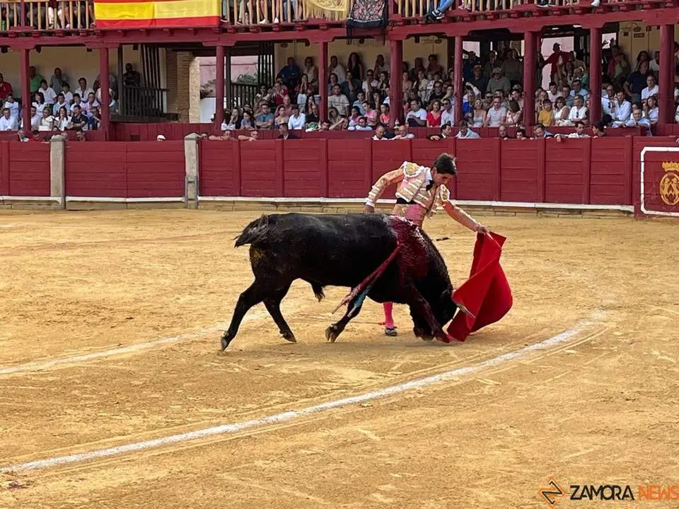 toros en toro _26