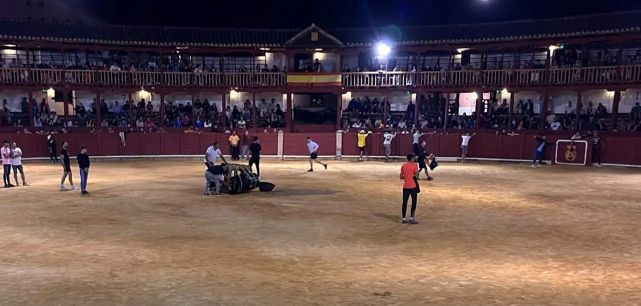 fuente del vino toro