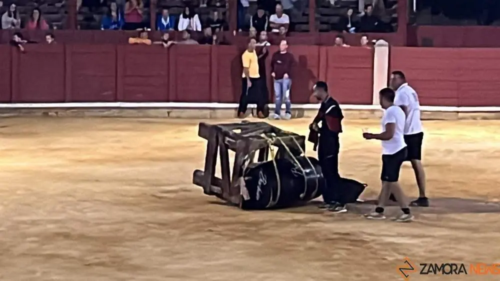 fuente del vino toro_4