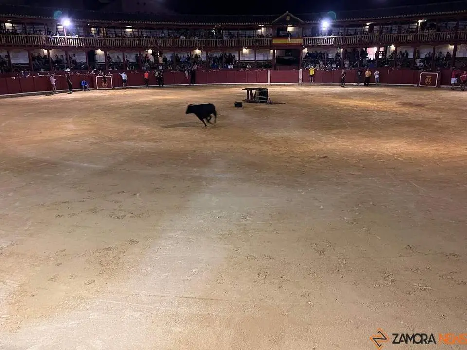 fuente del vino toro_7