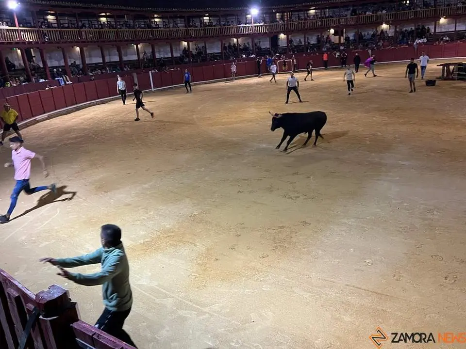 fuente del vino toro_8