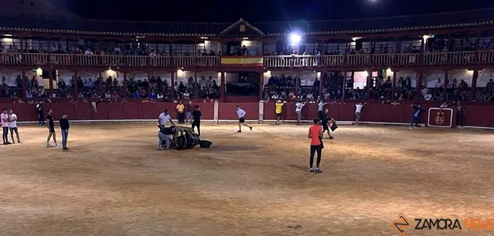 fuente del vino toro_11