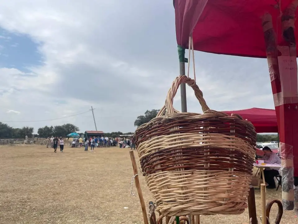 DIA DE LA COMARCA SAYAGO 2024 (24)
