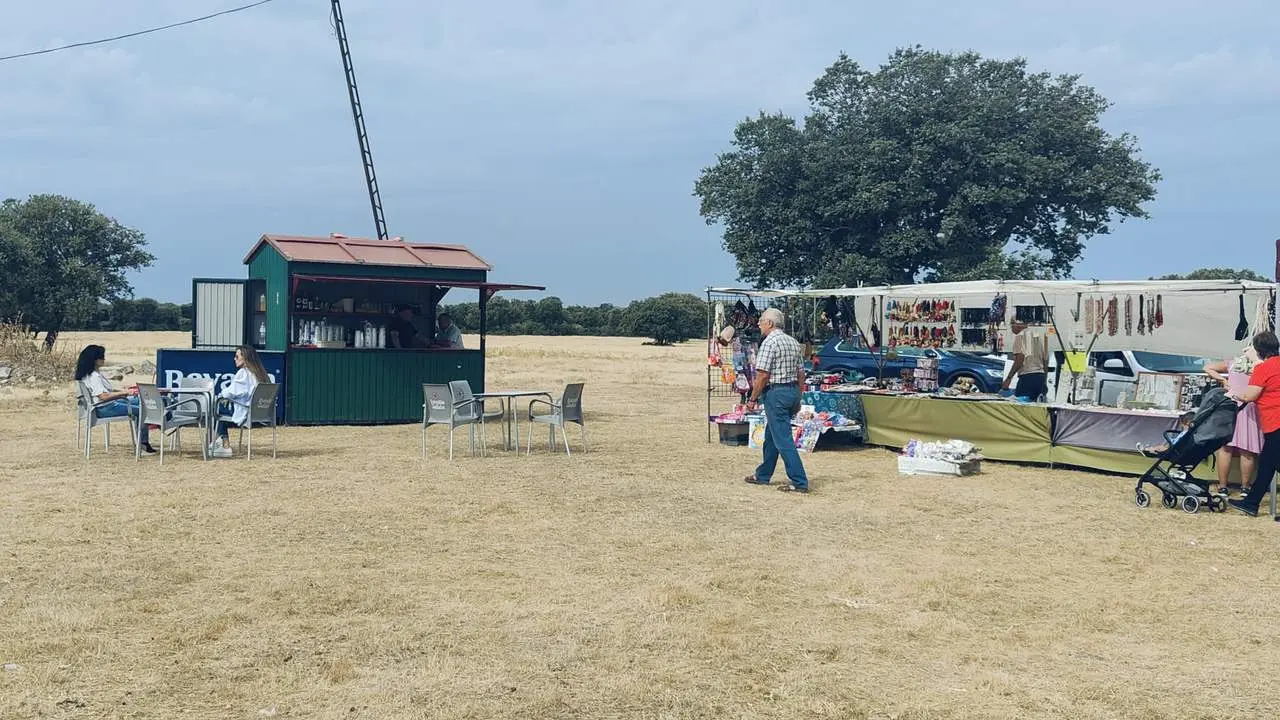 DIA DE LA COMARCA SAYAGO 2024 (27)