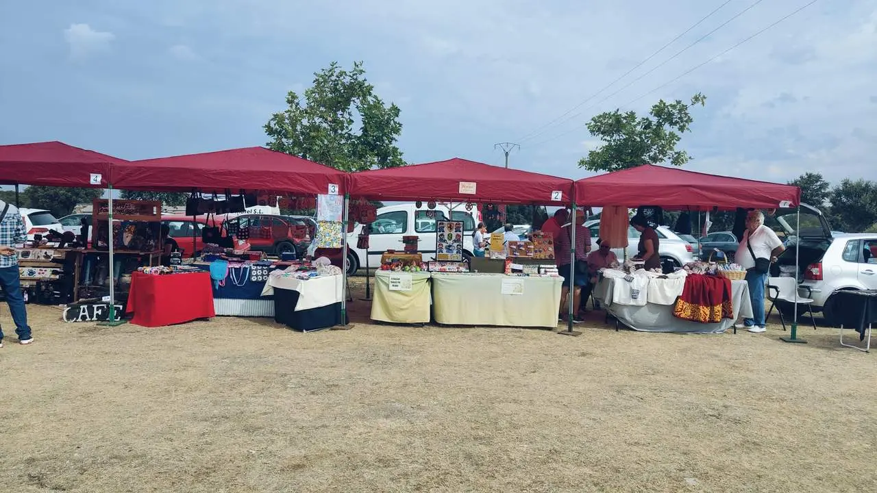 DIA DE LA COMARCA SAYAGO 2024 (36)