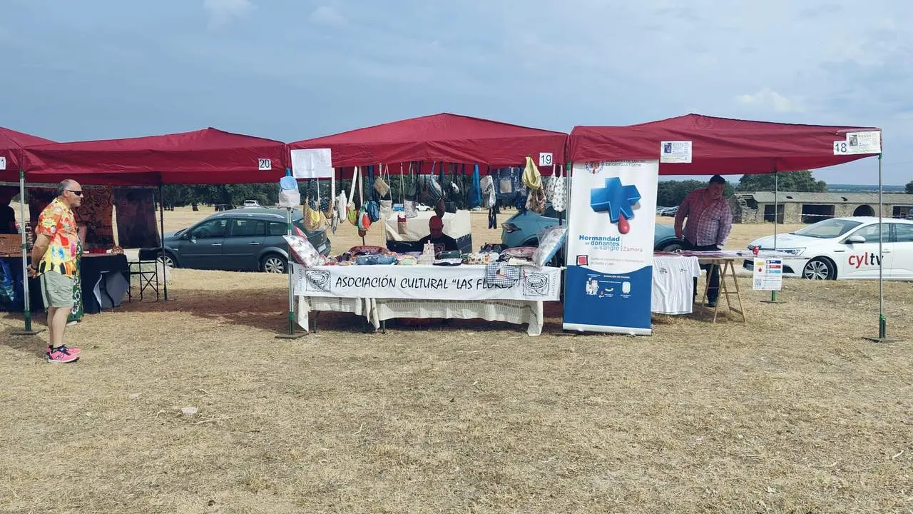 DIA DE LA COMARCA SAYAGO 2024 (41)