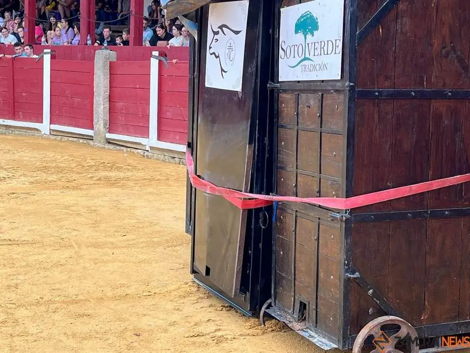 toro del cajón toro 2024_8