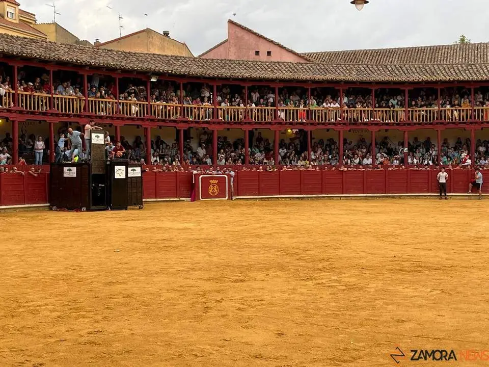toro del cajón toro 2024_11