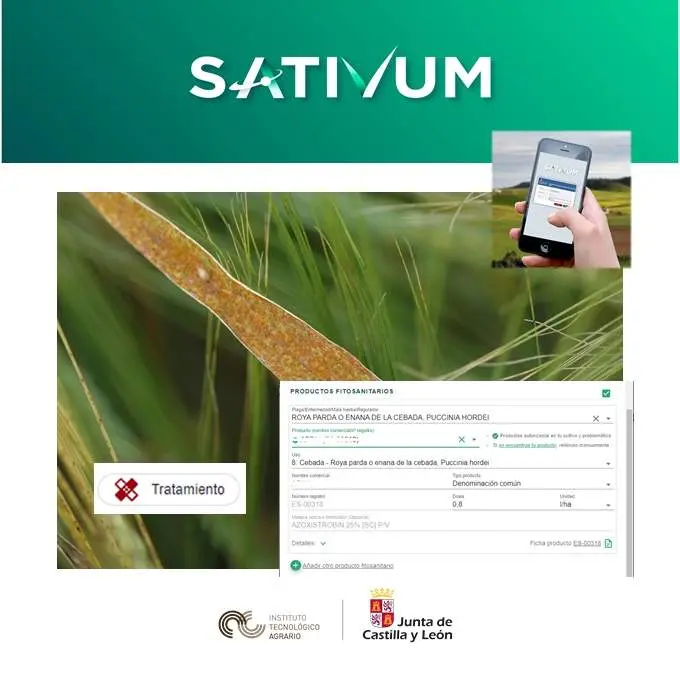 Sativum JCYL