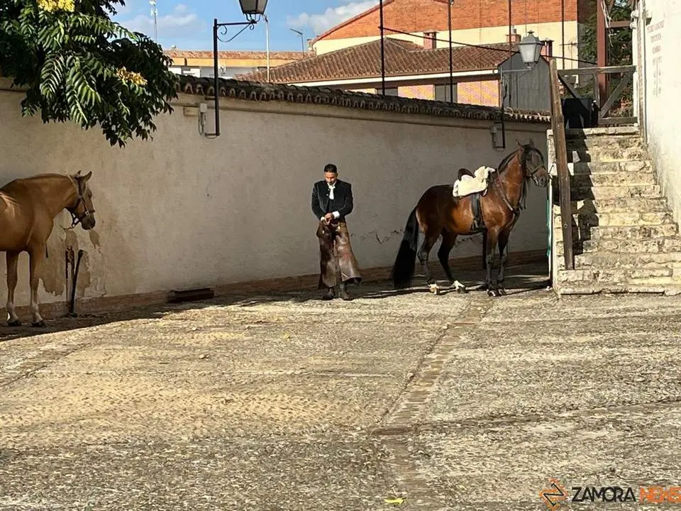 caballos toro _30