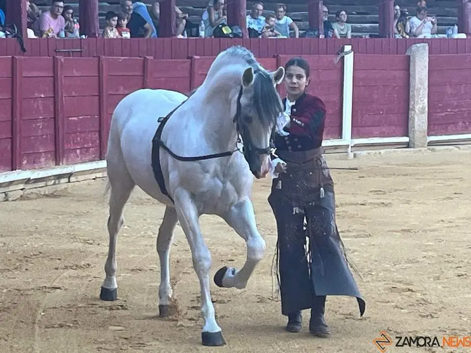 caballos toro _40
