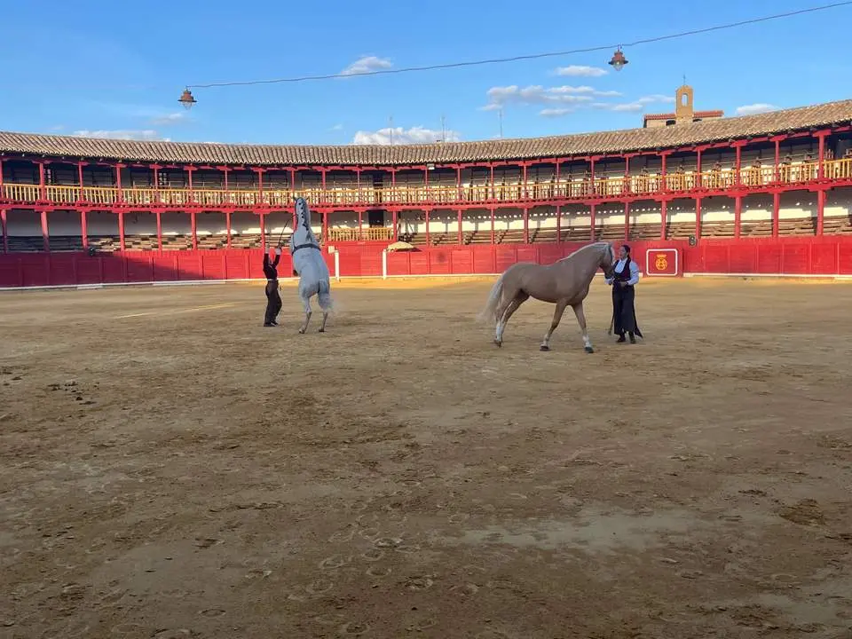 cec3c253-7695-4887-b13a-5ad4d762dfe8