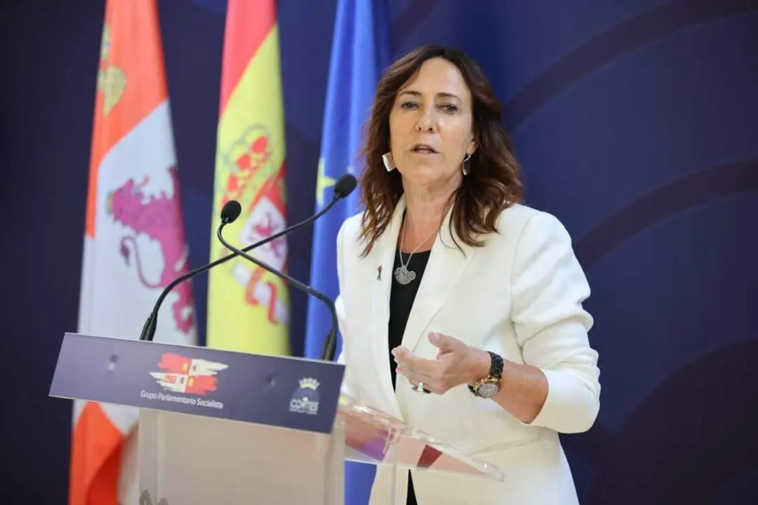 Rosa Rubio PSOE CYL