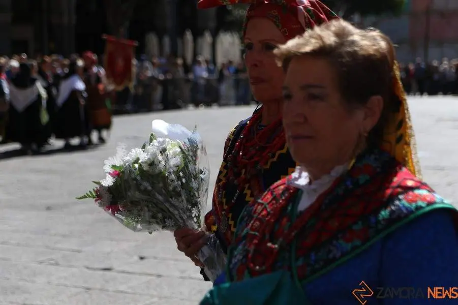 ofrenda floral Virgen de la Concha _2