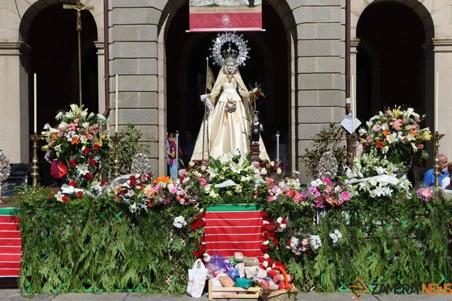 ofrenda floral Virgen de la Concha _14