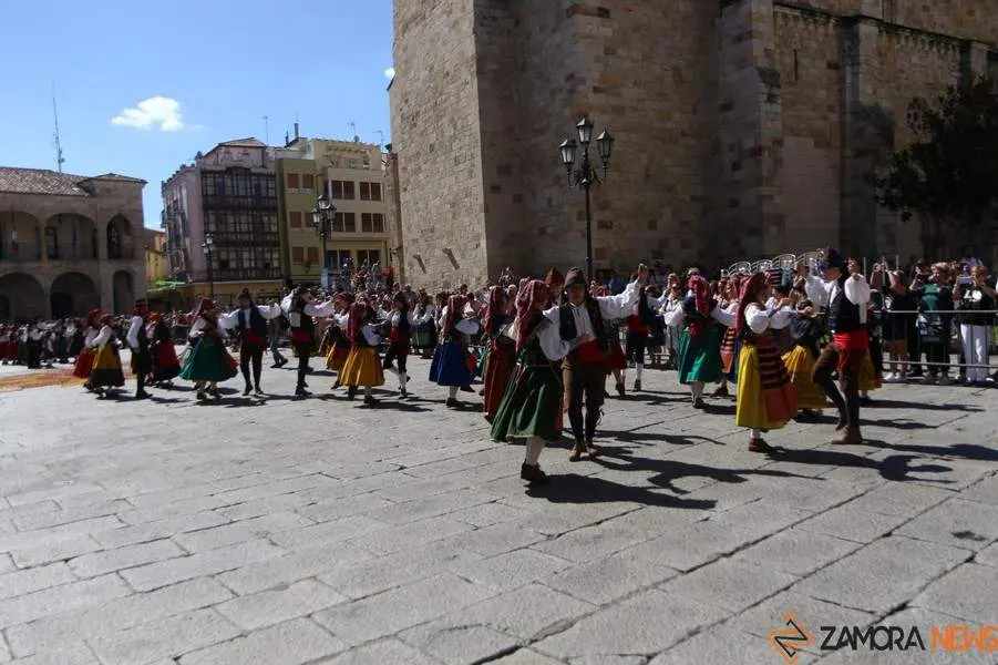 ofrenda floral Virgen de la Concha _18
