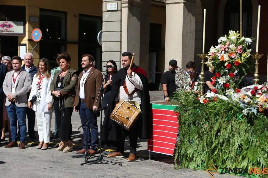 ofrenda floral Virgen de la Concha _23