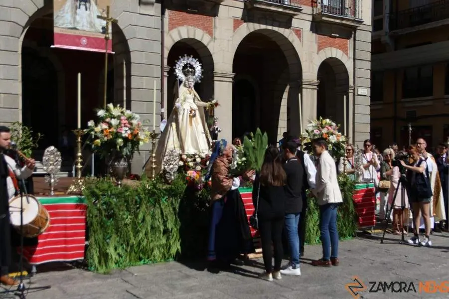 ofrenda floral Virgen de la Concha _34