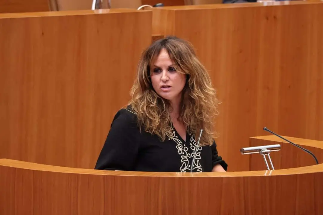 La viceportavoz del Grupo Socialista en las Cortes de Castilla y León, Patricia Gómez